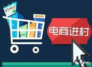 贾少华 农村电商是篇“好经”，莫让电子商务技术将其“念歪”