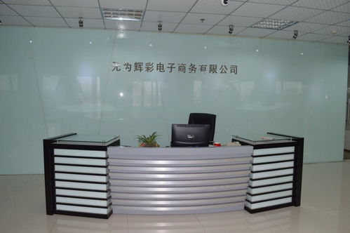 无为辉彩电子商务